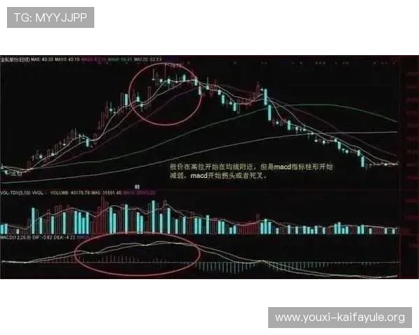 提升K8集团代理合作成功率的实用技巧与经验分享